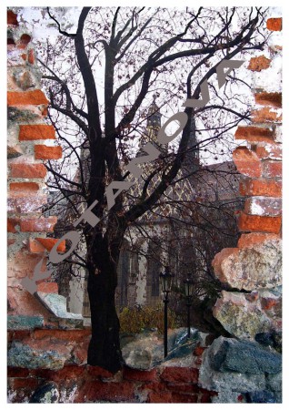 KD od Východu 21x 29